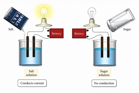 Example of Electrolytes and Nonelectrolytes