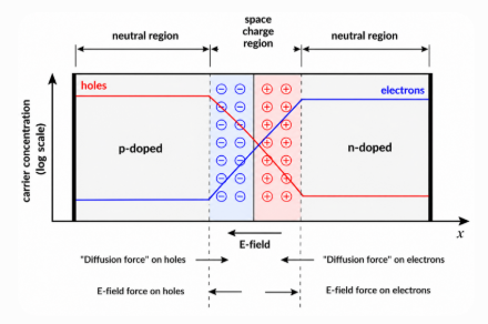Interaction of Drift and Diffusion Currents in a P–N Junction